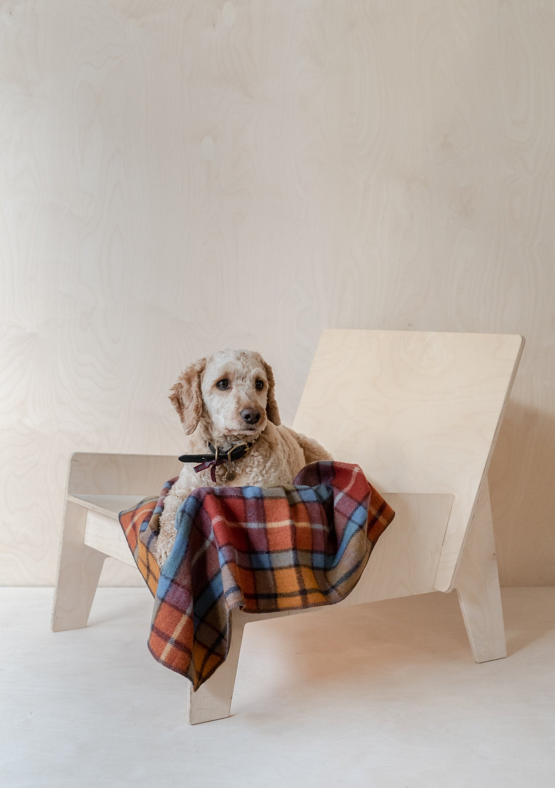 Petite couverture pour animaux de compagnie en laine recyclée en tartan antique Buchanan